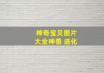 神奇宝贝图片大全神兽 进化